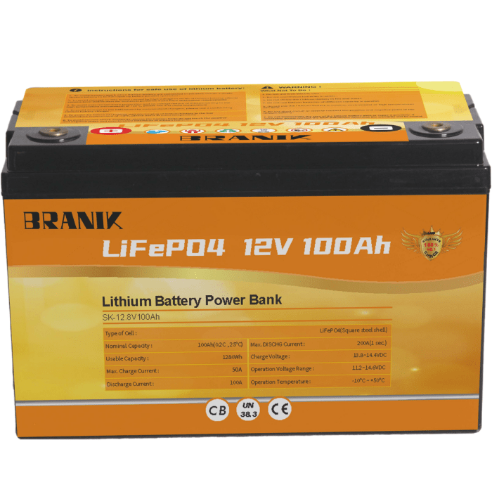 Batería Litio LiFePO4 12V - 100ah - 5000 ciclos - Imagen 2