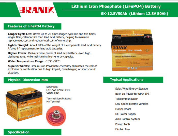 Batería Litio Lifepo4 12v - 50ah - 5000 Ciclos - Imagen 2