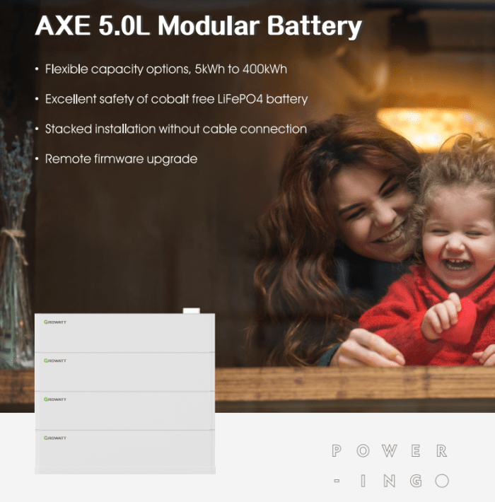 Batería Litio Growatt Axe5.0l-c1 - 48v 100ah (5kwh) - Imagen 2