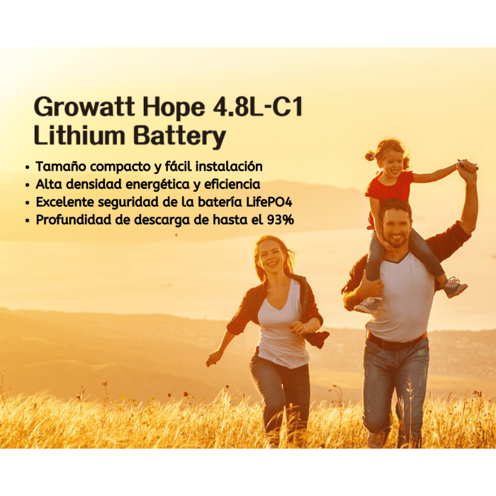 Batería de Litio (LiFePo4) Growatt 4.8 kWh – 48V (100Ah) hasta 93% DOD 3500 Ciclos - Imagen 2