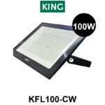 REFLECTOR KING 100W AC180-260V FRIO 6500K